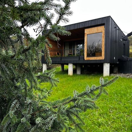 Brown Deer - Z Sauna Na Tarasie, Jacuzzi I Widokiem Na Gory - By Deer Hills Luxury Apartments Kocon Εξωτερικό φωτογραφία